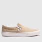 Beige Multi