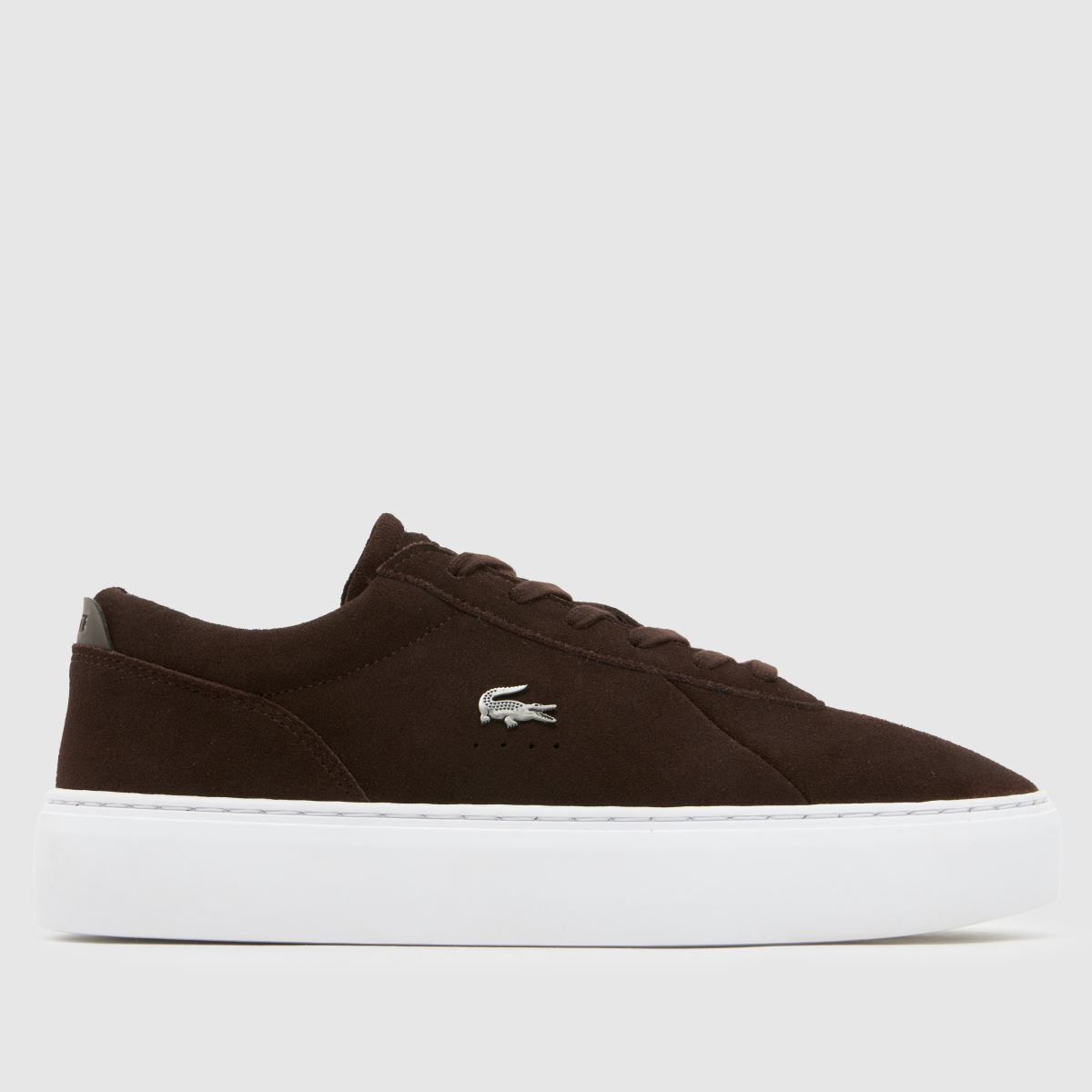 Lacoste Courtset Trainers in Brown & White