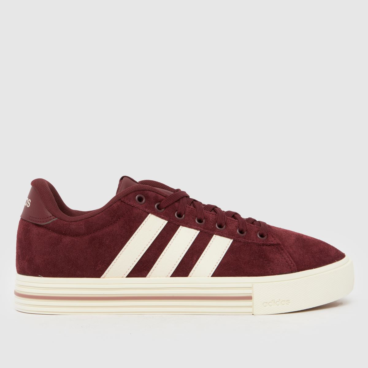 adidas Daily 4.0 Trainers in Burgundy