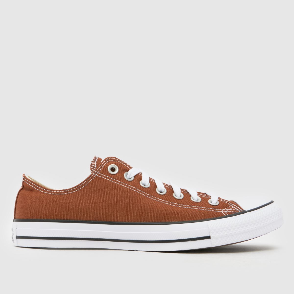 Converse All Star Ox Trainers in Brown