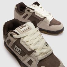 DC Stag,3 von 4