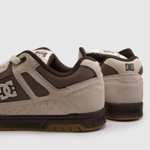 DC Stag,4 von 4