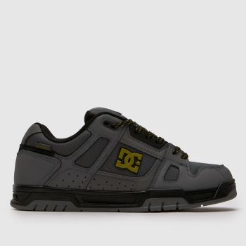 DC Grey & Black STAG Mens Trainers