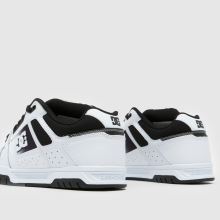 DC Stag,4 von 4