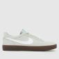 Light Grey