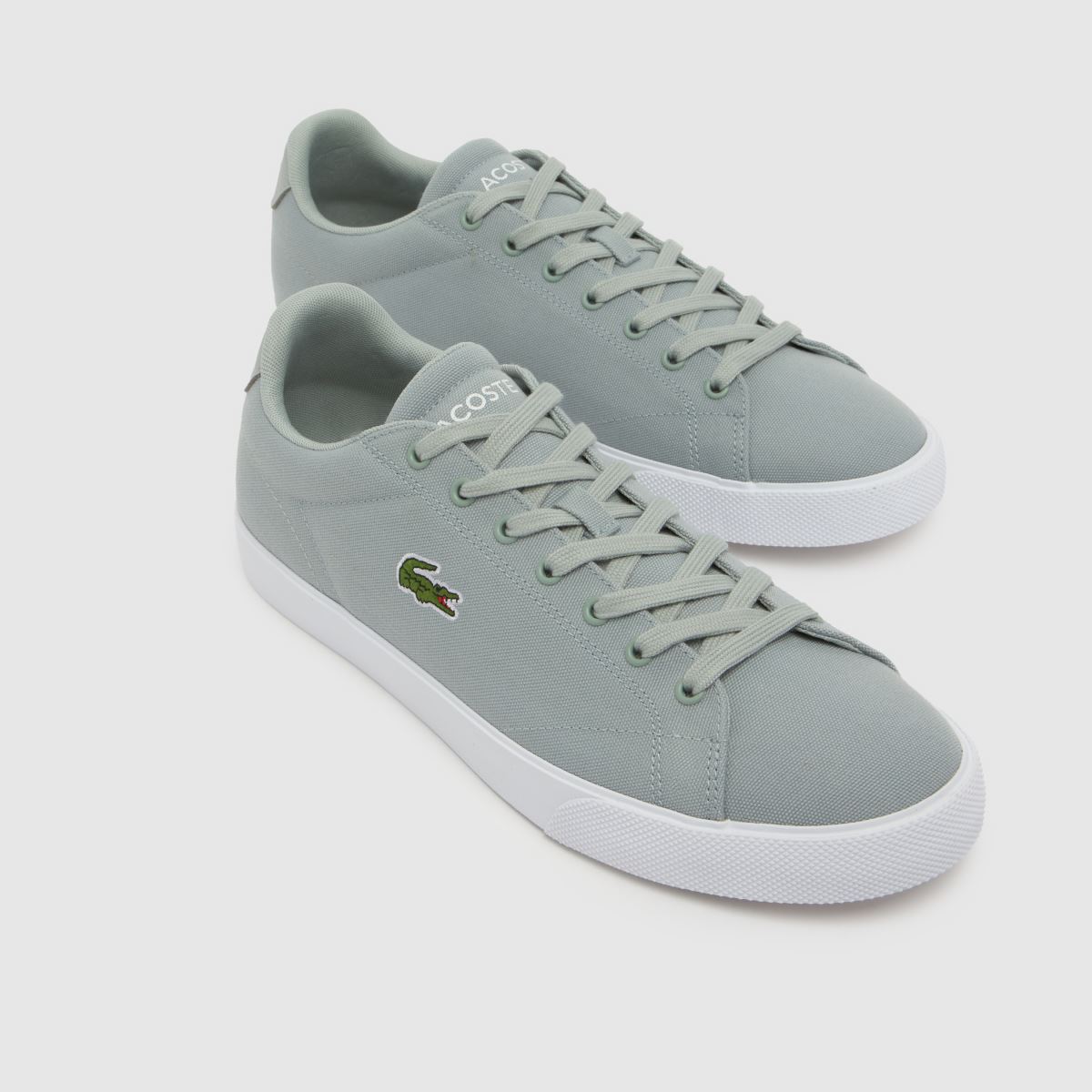 Lacoste Lerond in Grey Lacoste Lerond 4