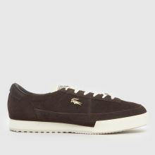Lacoste Aura in Dark Brown Lacoste Aura,1 of 4