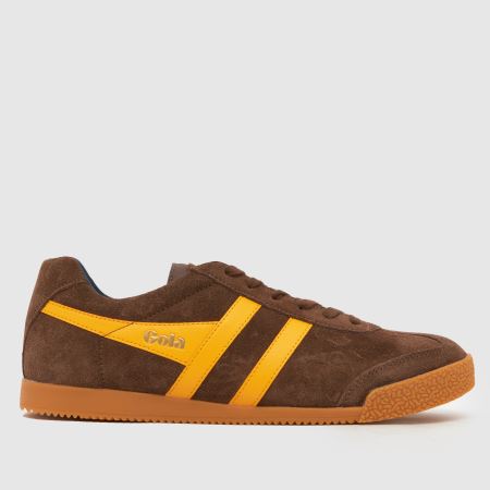 Gola harrier 1