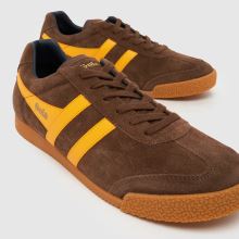 Gola Harrier,3 von 4