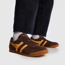 Gola Harrier,2 von 4