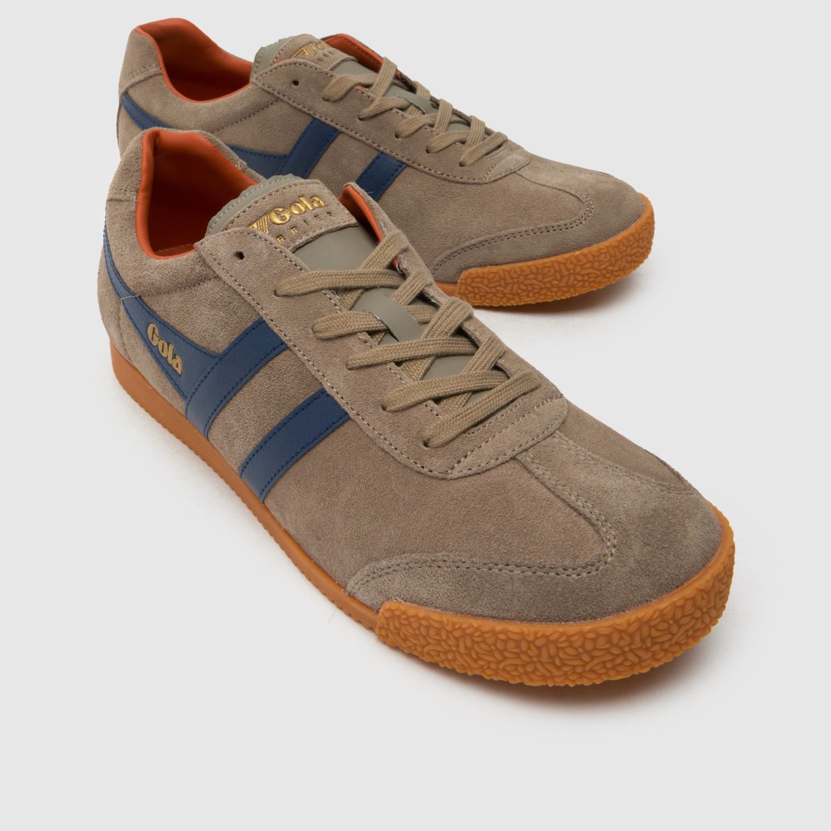 Gola Harrier in Brown Gola Harrier 4