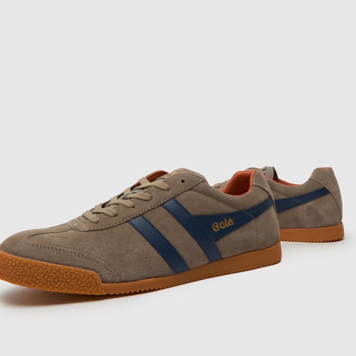 Gola Harrier in Brown Gola Harrier 7