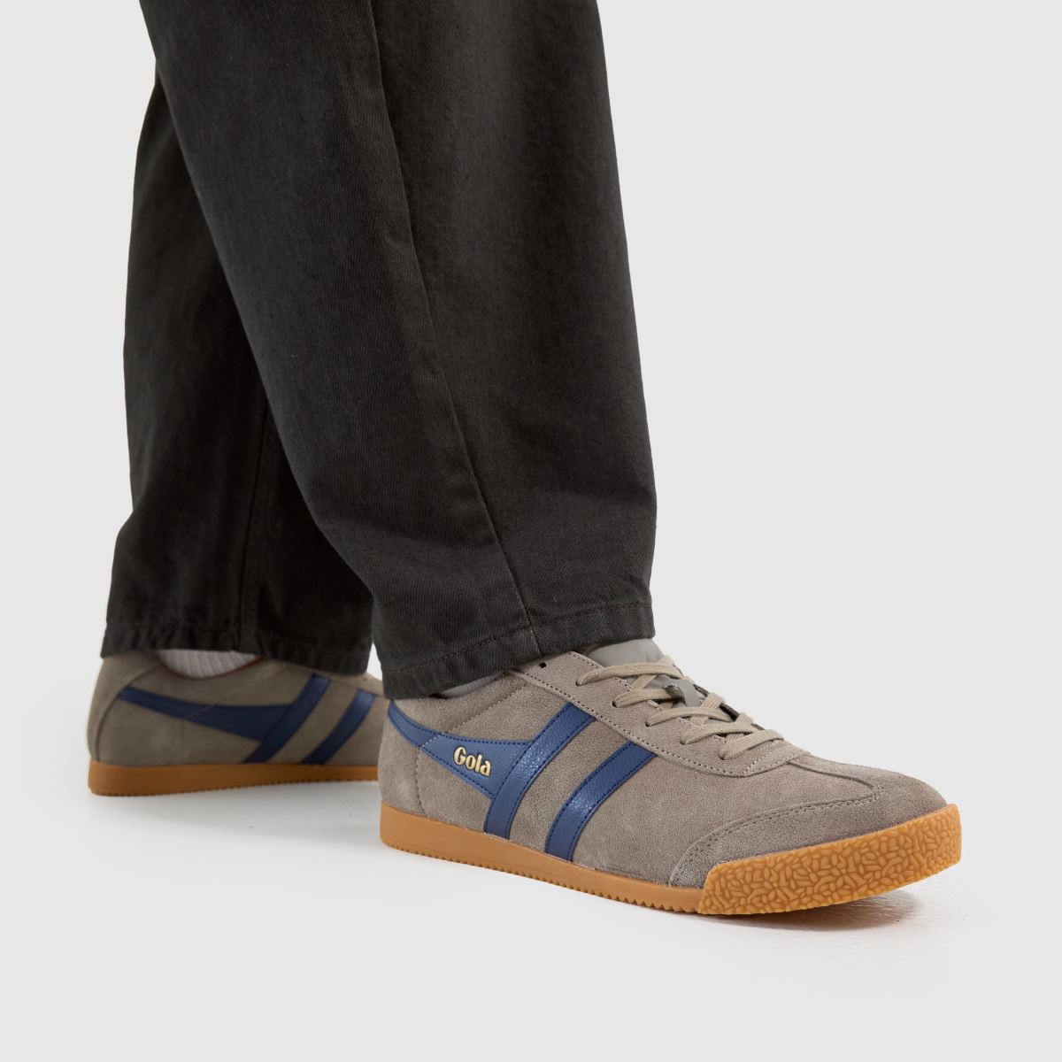 Gola Harrier in Brown Gola Harrier 8