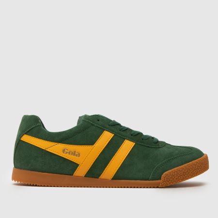 Gola harrier 1