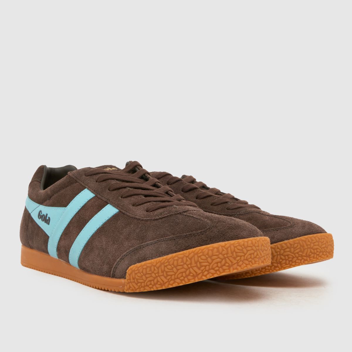 Gola Harrier in Brown Gola Harrier 1