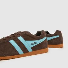 Gola Harrier in Brown Gola Harrier,4 of 4