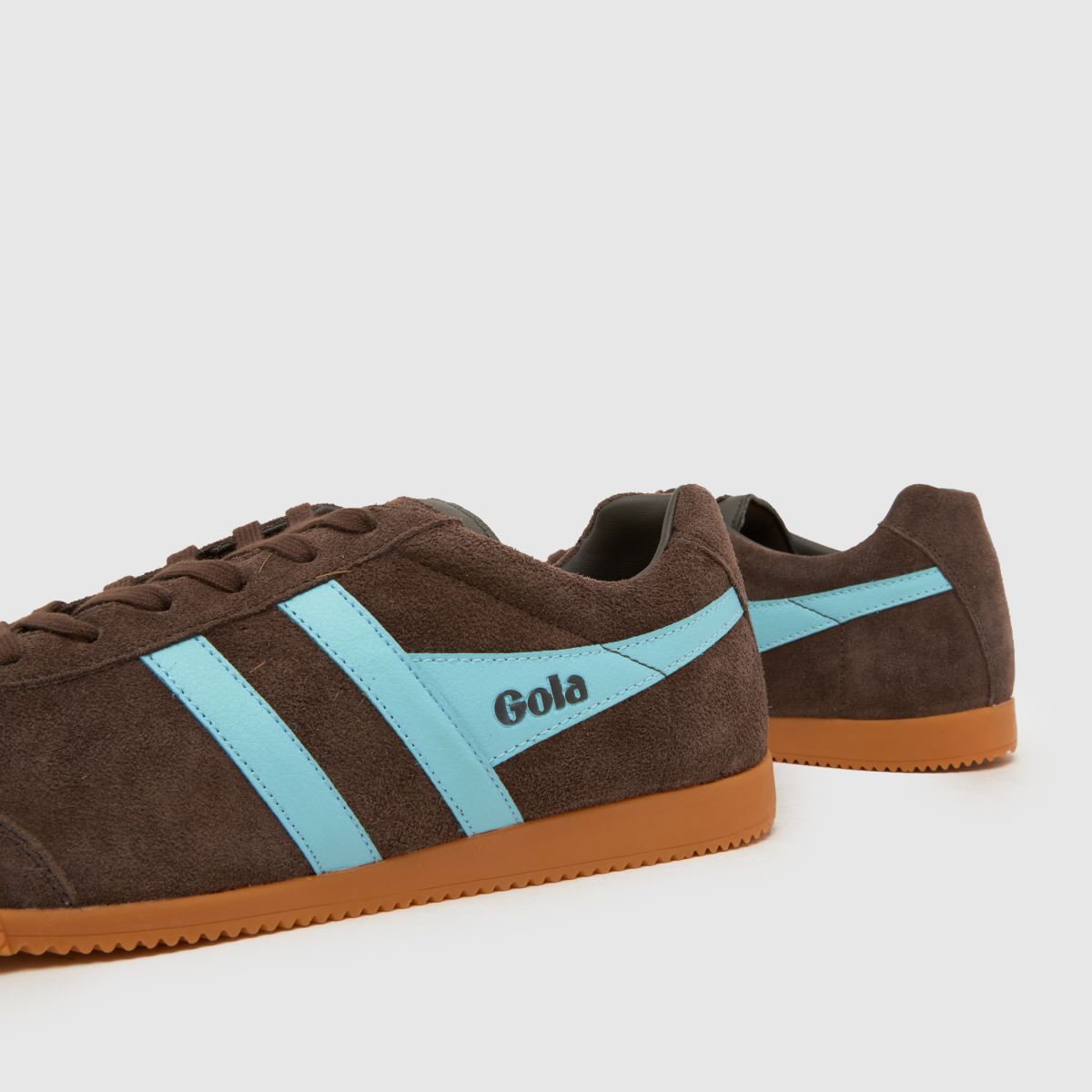 Gola Harrier in Brown Gola Harrier 7