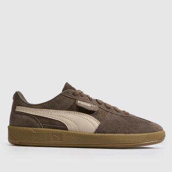 PUMA Brown Palermo Mens Trainers
