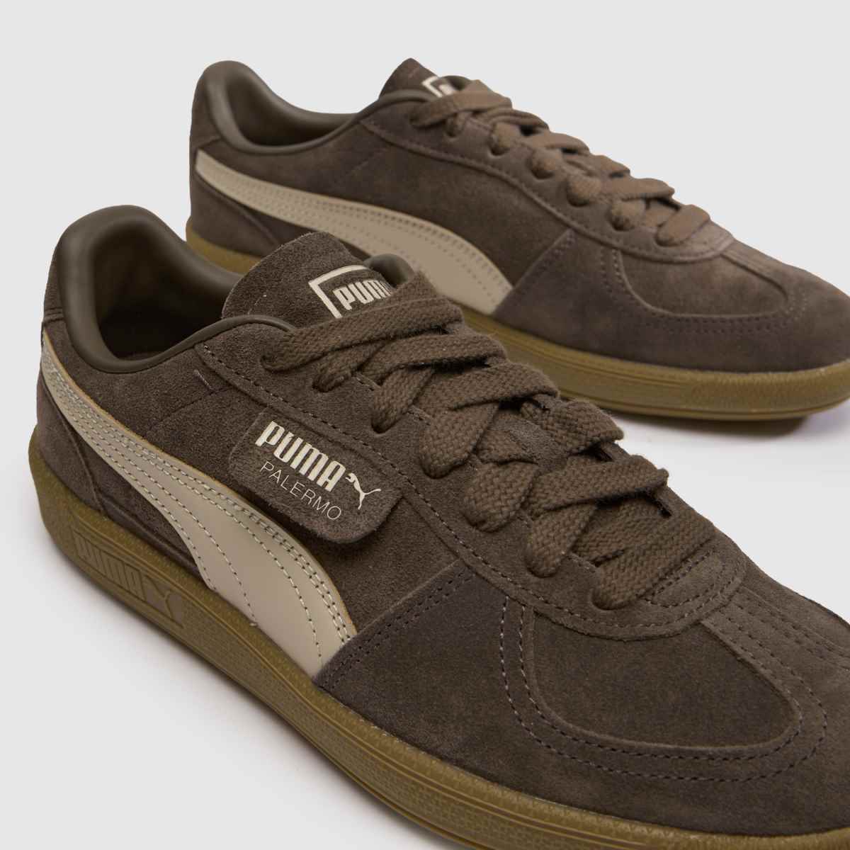 PUMA Palermo in Brown PUMA Palermo 4