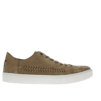 mens tan toms lenox sneaker trainers | schuh TOMS TAN LENOX SNEAKER TRAINERS