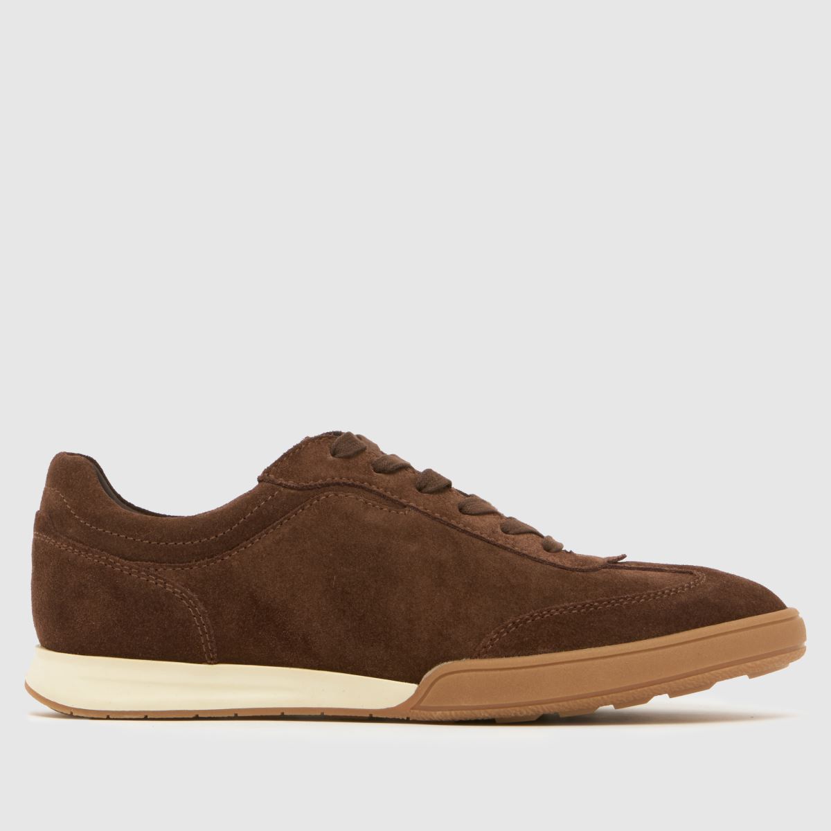 Waldorf Suede Trainer  in