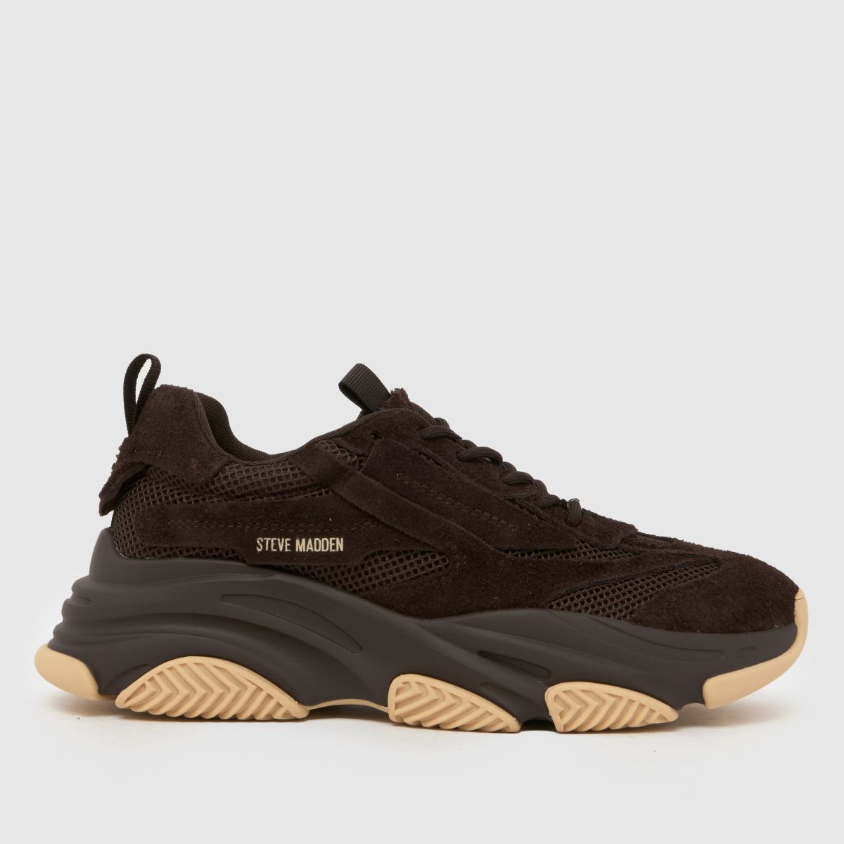 Steve Madden Possess Trainers in Brown