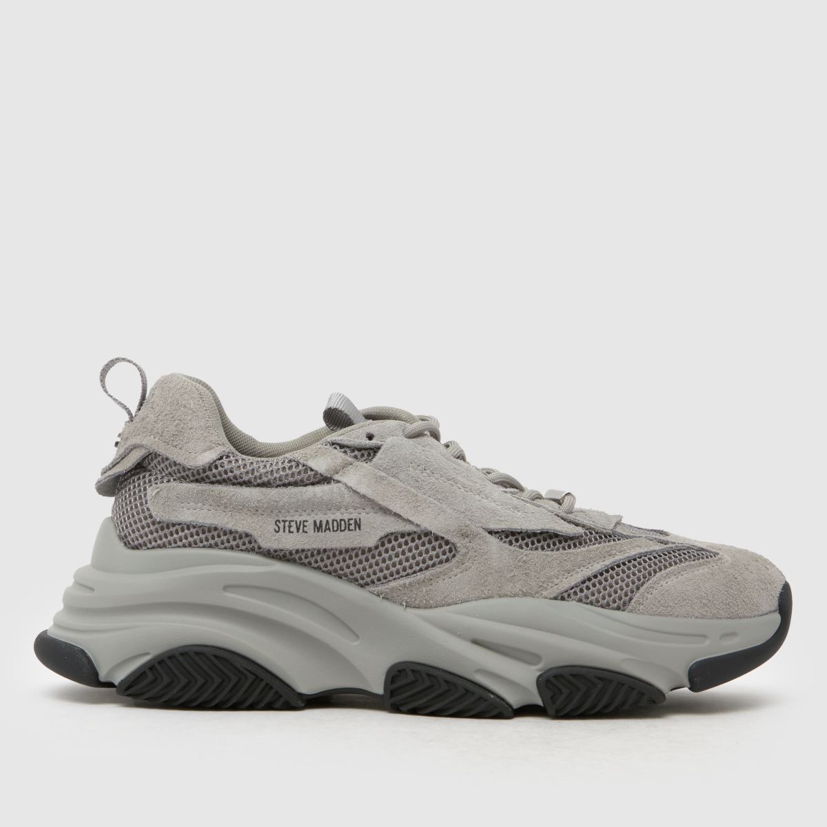 Steve Madden Possess Trainers in Grey