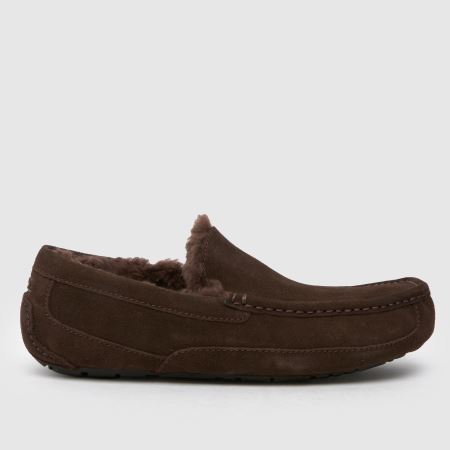 UGG ascot 1