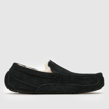 UGG ascot 1