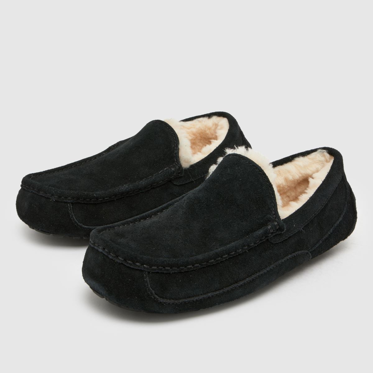 UGG Ascot in Black UGG Ascot 4