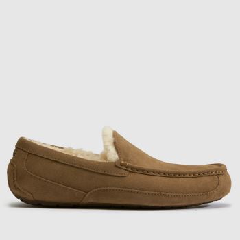 UGG Light Bronze Ascot Mens Slippers
