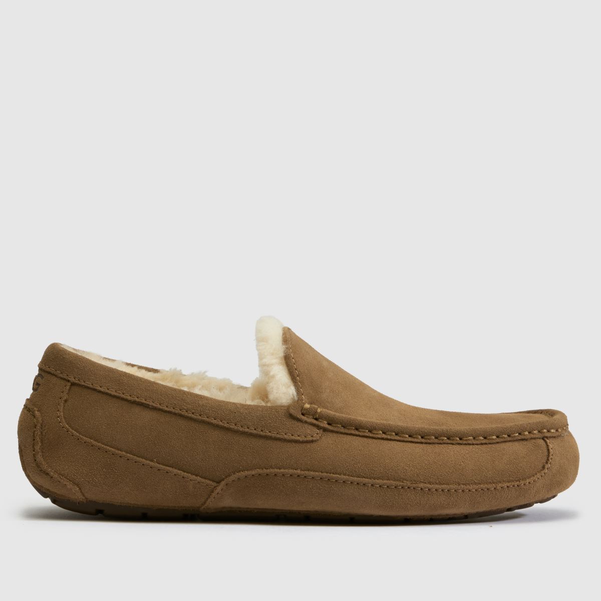Ascot  in Light Bronze