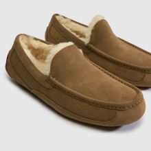 UGG Ascot in Light Bronze UGG Ascot,4 of 4