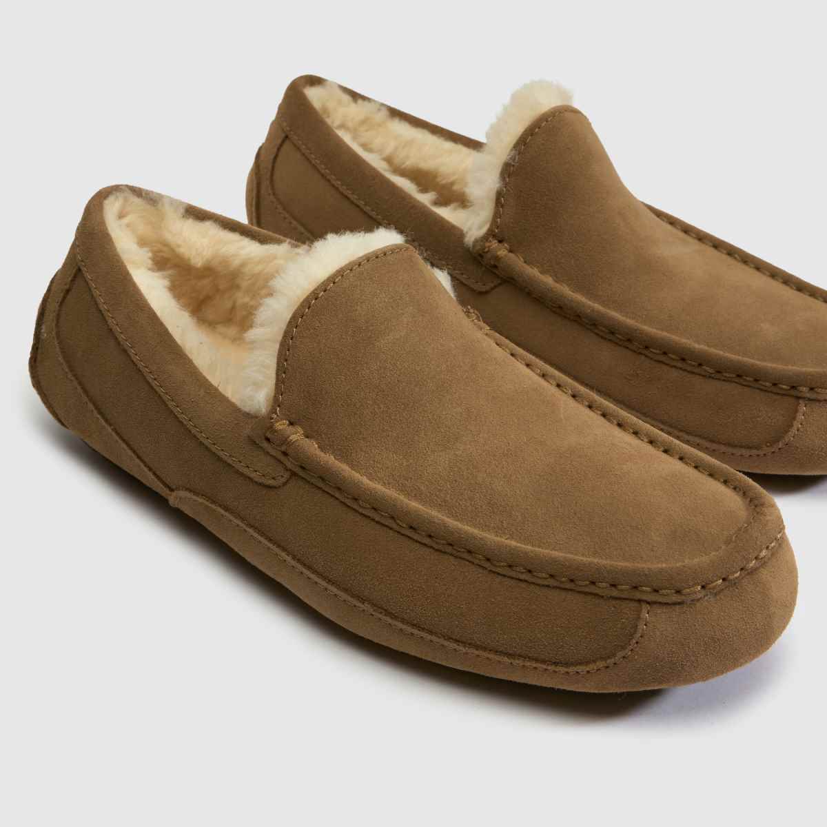 UGG Ascot in Light Bronze UGG Ascot 7