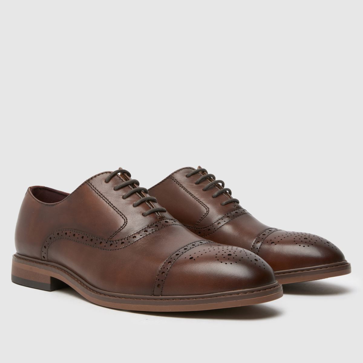 schuh Raven Brogue in Brown schuh Raven Brogue 8