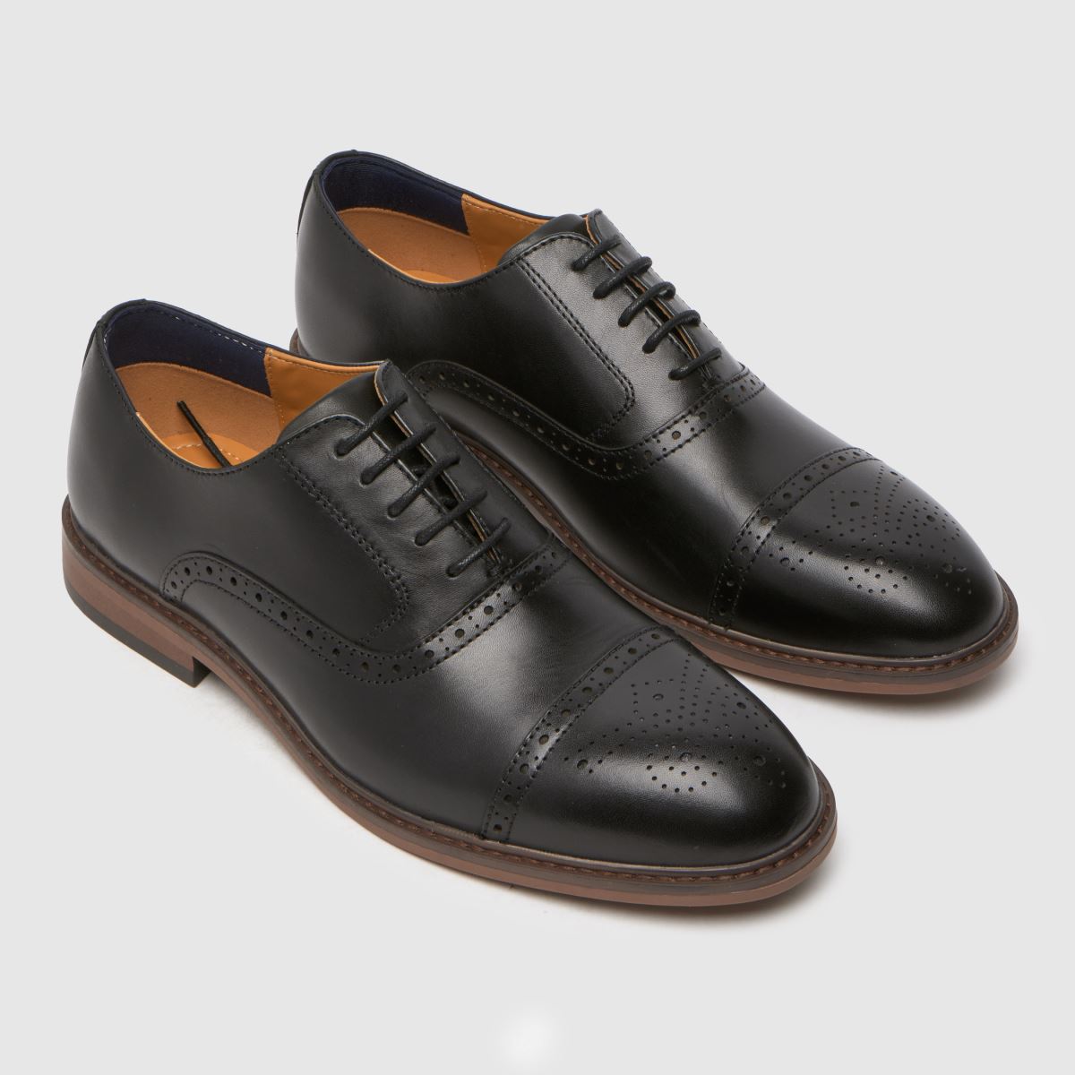 Schuh Raven Brogue