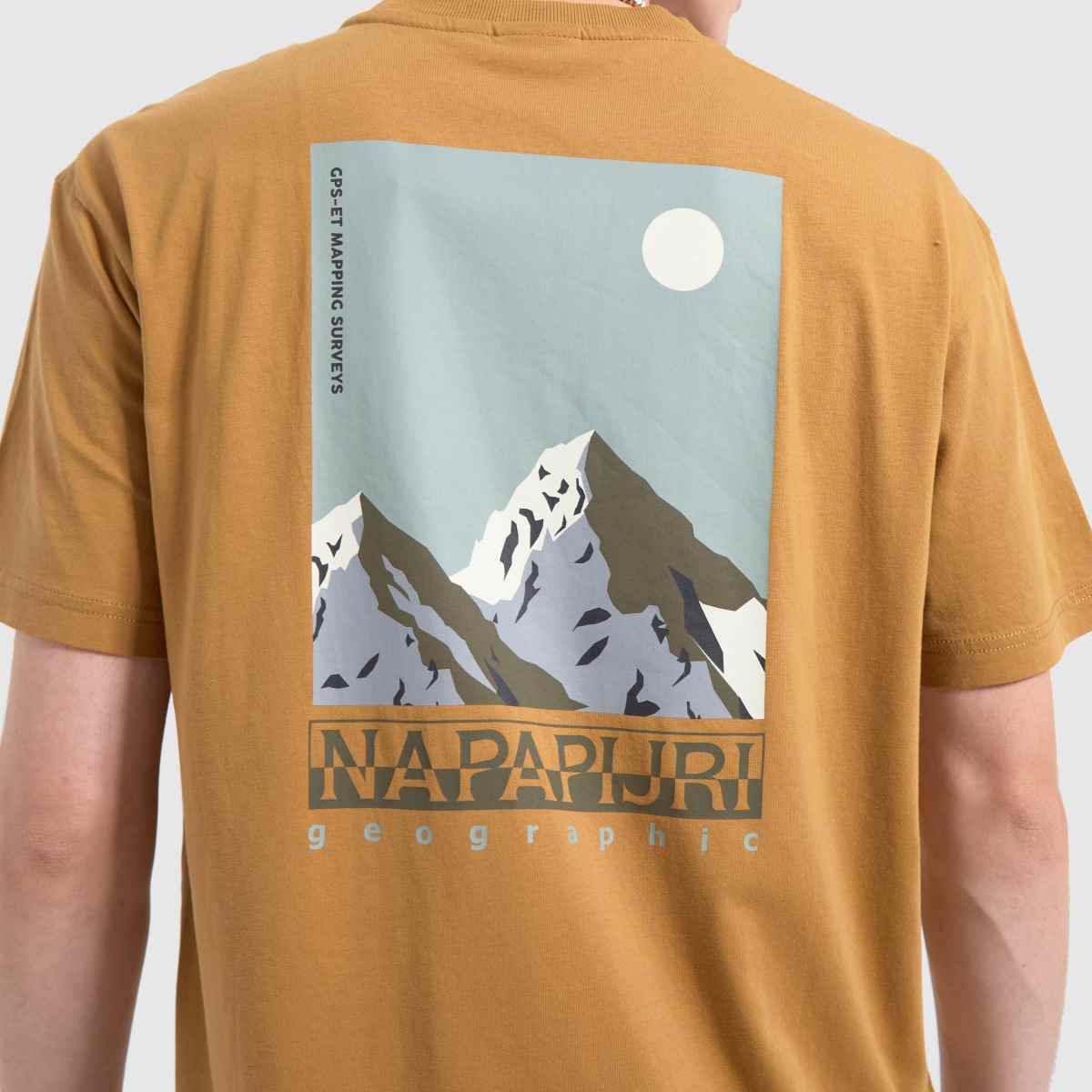 Mens Clothing Brown NAPAPIJRI Telemark T-Shirt | schuh