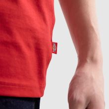 DICKIES Summerdale T-Shirt,4 of 4