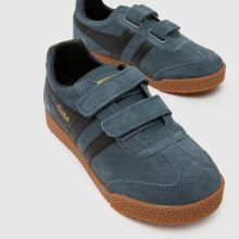 Gola Harrier,3 von 4