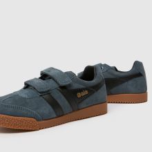 Gola Harrier,4 von 4