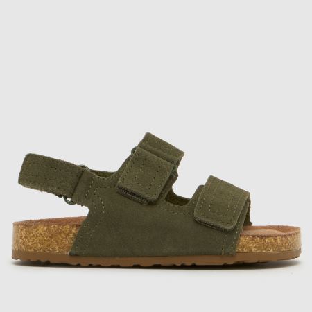 schuh turtle suede 1