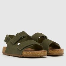 Kinder schuh Khaki Turtle Suede Sneaker schuh Turtle Suede,2 von 4