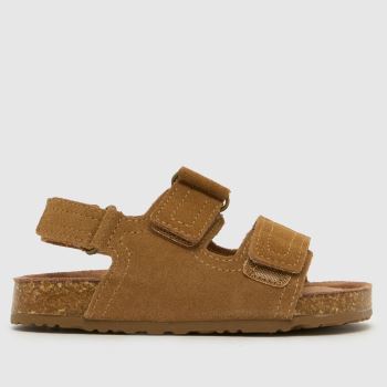 schuh Tan Turtle Suede Boys Toddler