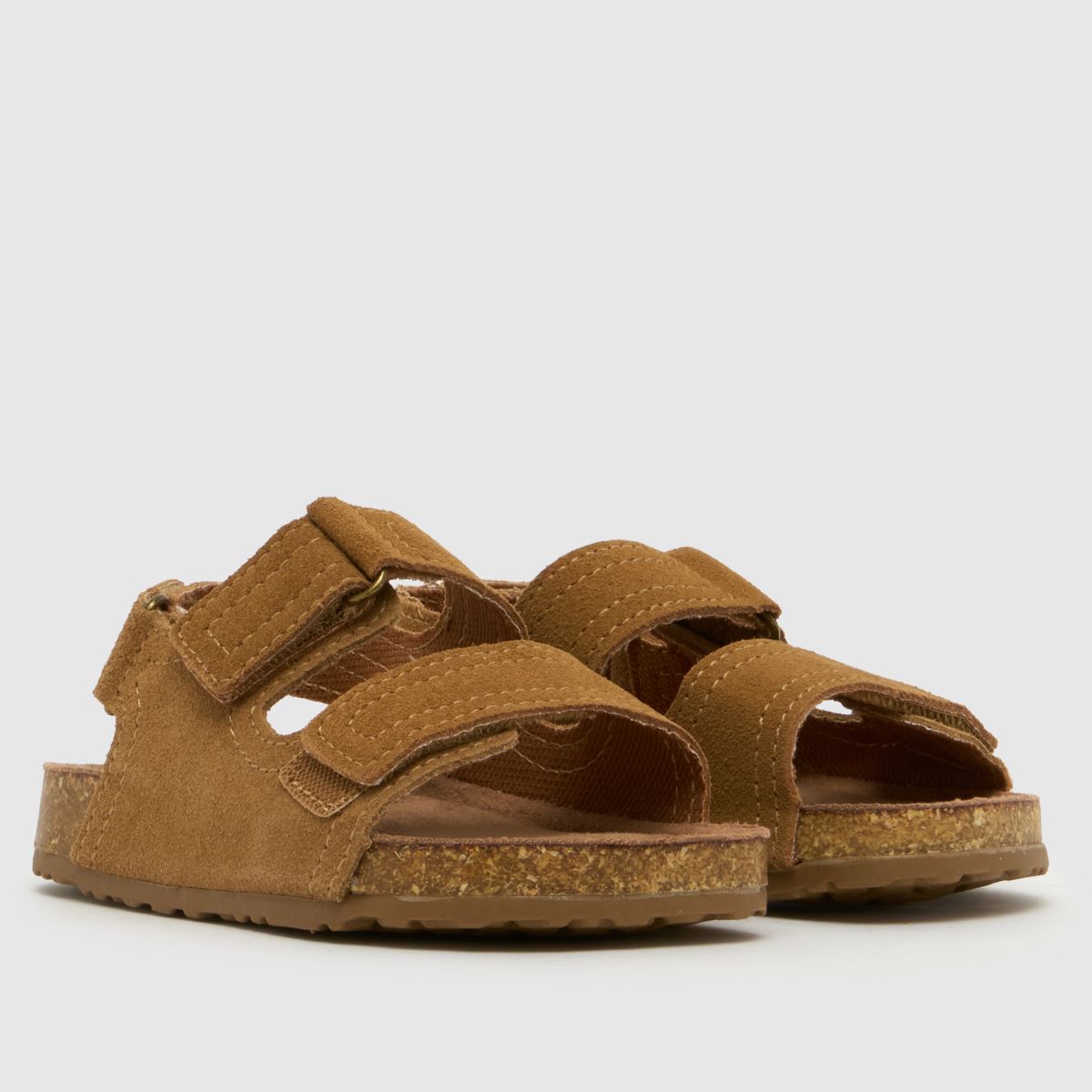 schuh Turtle Suede Boys Toddler in Tan schuh Turtle Suede 1