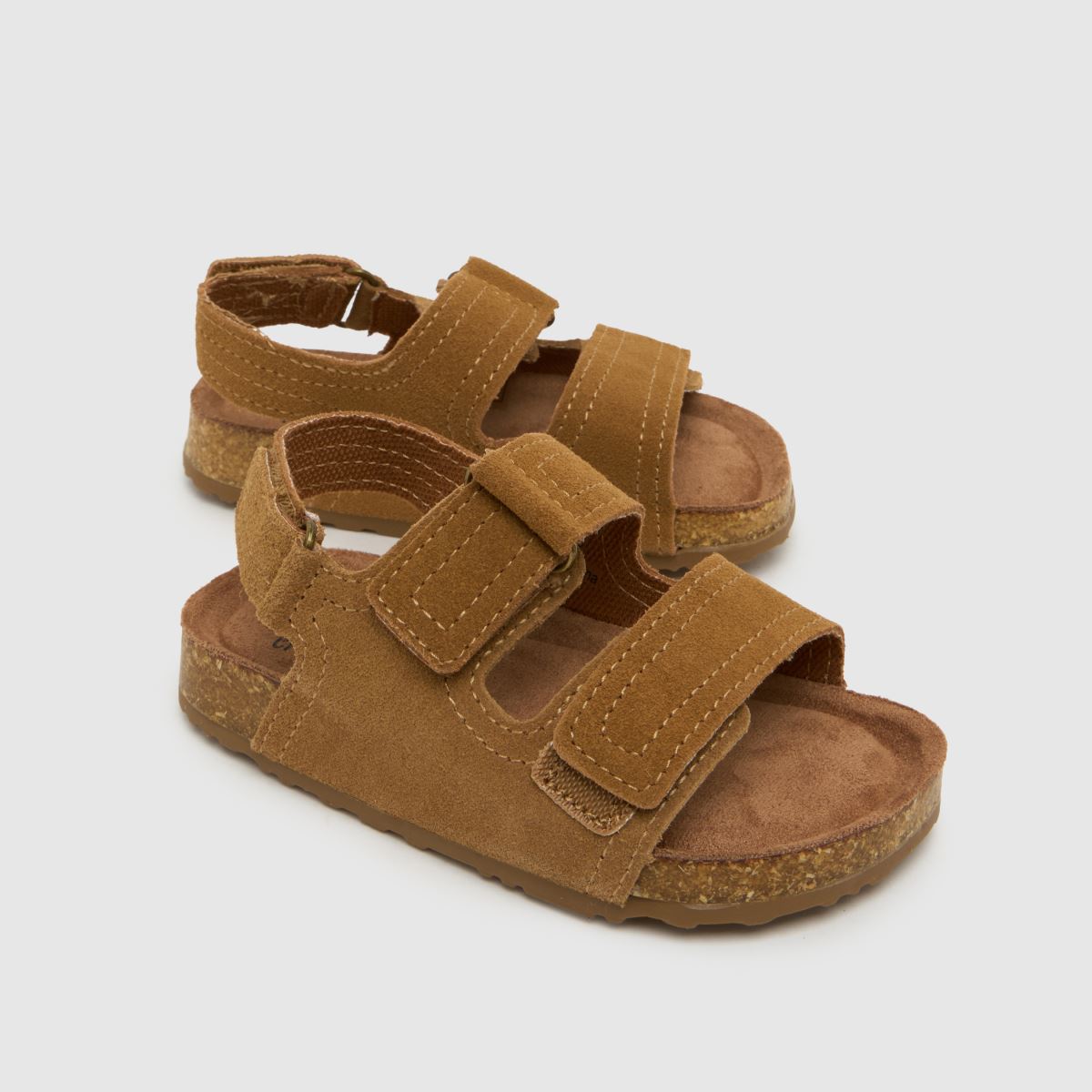 schuh Turtle Suede Boys Toddler in Tan schuh Turtle Suede 4