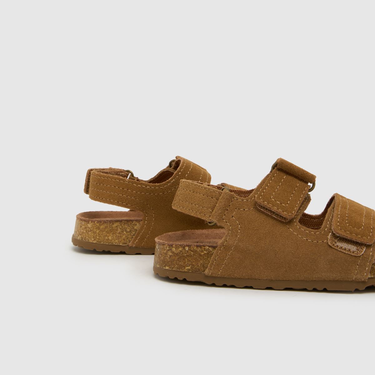schuh Turtle Suede Boys Toddler in Tan schuh Turtle Suede 7