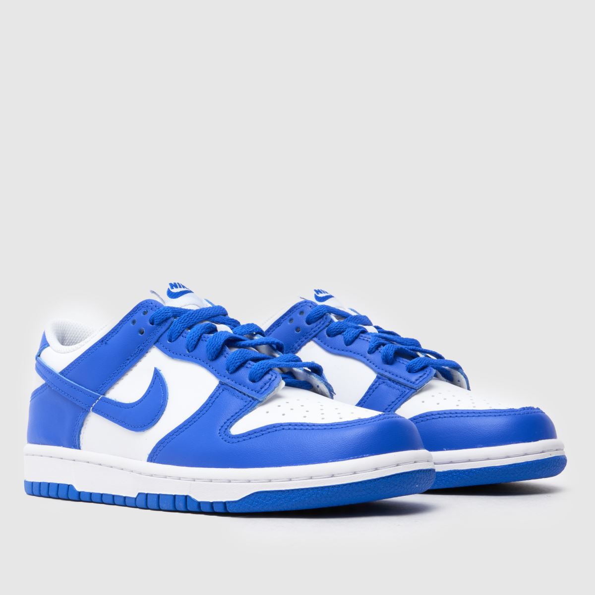 Nike Dunk Low Boys Youth in White Blue