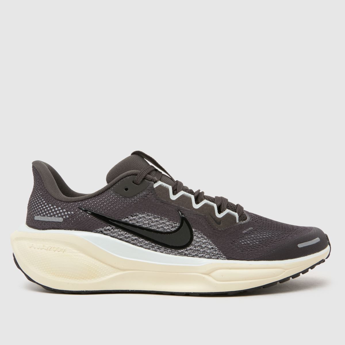 schuh nike pegasus