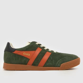 Gola