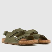 Kinder schuh Khaki Turtle Suede Sneaker schuh Turtle Suede,2 von 4